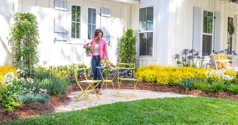 Shine Brightly with 'Sunshine Ligustrum' | Southern Living Plants Ligustrum Hedge, Fountain Front Yard, Front Yard Pond, Edging Front Yard, Front Yard Fountain, Yellow Shrubs, Cottage Style Garden, Sunshine Ligustrum, Southern Living Plant Collection