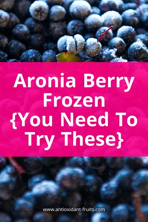 Aronia Berry Frozen by antioxidant-fruits.com Aronia Berry Recipes, Antioxidant Fruits, Black Chokeberry, Aronia Berry, Elderberry Recipes, Aronia Berries, Berries Recipes, Wild Edibles, Smoked Food Recipes