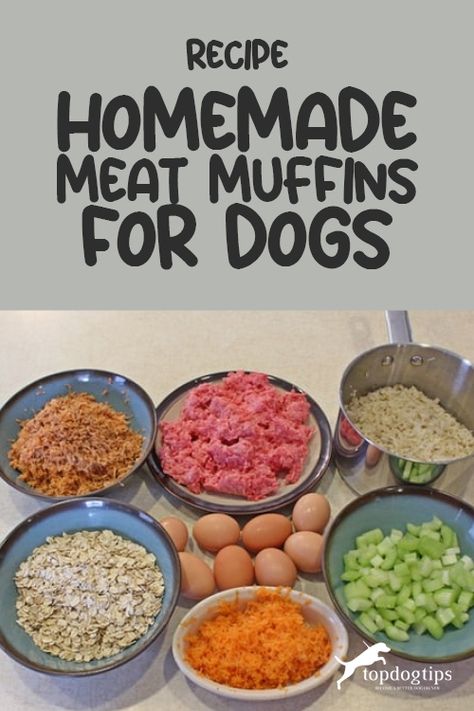 Are you tired of feeding your Fido the same old kibble every day? Give them a tasty and nutritious meal with our homemade meat muffins recipe! Packed with protein and flavor, these muffins will have your pup begging for more! Muffins For Dogs, Meat Muffins, Easy Homemade Cheese, Pumpkin And Peanut Butter, Dog Food Recipes Crockpot, Peanut Butter Treats, Dog Treats Homemade, Pretty Pets, Pet Treats Recipes