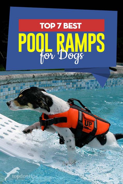 Dog Ramp For Lake Dock, Boat Ramp For Dogs, Dog Pool Ladder, Dog Boat Ramp Diy, Diy Pool Ramp For Dogs, Diy Dog Pool Ramp, Pool Dog Ramp, Pool Ramp For Dogs, Dog Pool Ideas