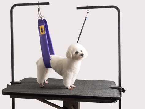 The Belly Band: Pet/Dog Grooming Safety Harness Restraint Loop Band | eBay Grooming Table, Dog Grooming Styles, Dog Grooming Shop, Dog Washing Station, Grooming Style, Grooming Shop, Dog Salon, Giant Breeds, Safety Harness