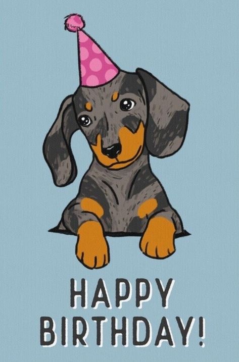 Happy Birthday Dachshund, Dachshund Cake, Happy Birthday Animals, Dachshund Birthday, Happy Birthday Wishes Messages, Happy Birthday Cat, Happy Birthday Wallpaper, Birthday Wishes Messages, Happy Birthday Funny