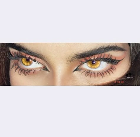 Gold Eyes Aesthetic, Yellow Eyes Aesthetic, Amber Eyes Aesthetic, Honey Eyes Color, Amber Eyes Color, Spring Eye Makeup, Honey Eyes, Thick Brows, Amber Eyes