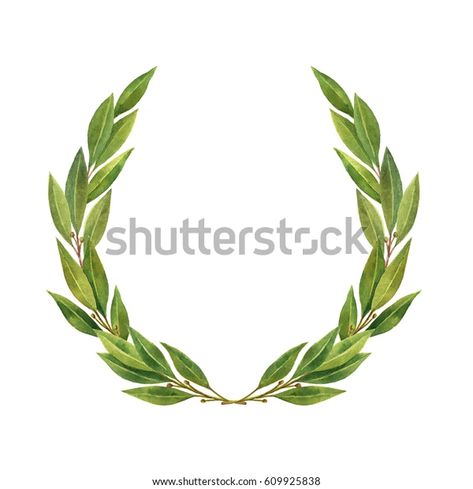 Bay Leaf Wreath, Laurel Tattoo, Laurel Wreath Tattoo, Laurel Wreath Crown, Laurel Crown, Wreath Tattoo, Skull King, Crown Drawing, Torso Tattoos