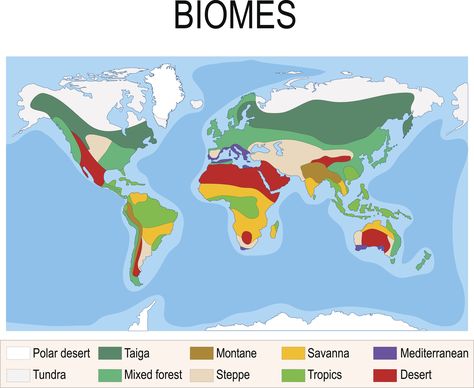 There are zones on earth that get divided known as a biome. Biome includes large regions that have similar biotic components like plant and animals, with similar abiotic components like temperature and amount of rainfall that it has. There are different types of biomes such as desert and tropical rainforest, where one is dry and other is wet. source: textbook Types Of Biomes, Desert Map, Desert Biome, Climate Zones, Natural Science, Science Project, Tropical Rainforest, African Safari, Fourth Grade