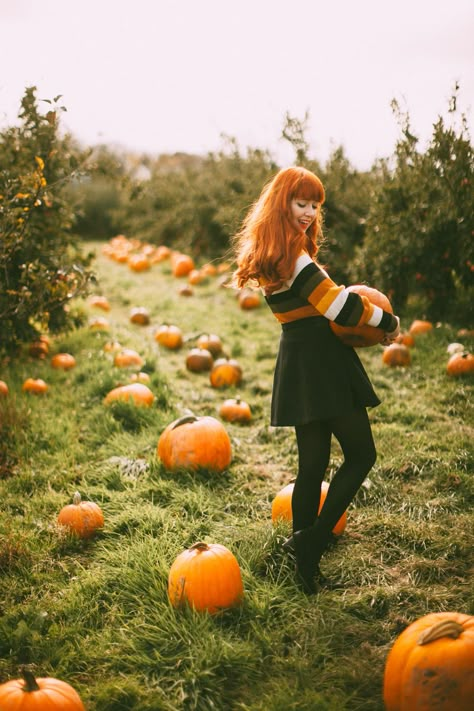 pumpkins-5 Pumpkin Queen Aesthetic, Holding Pumpkin Pose, Pumpkin Patch Poses, Photoshoot Clothes, Pumpkin Photoshoot, Halloween Fashion Outfits, Halloween Pinup, Pumpkin Patch Photoshoot, Autumn Photoshoot