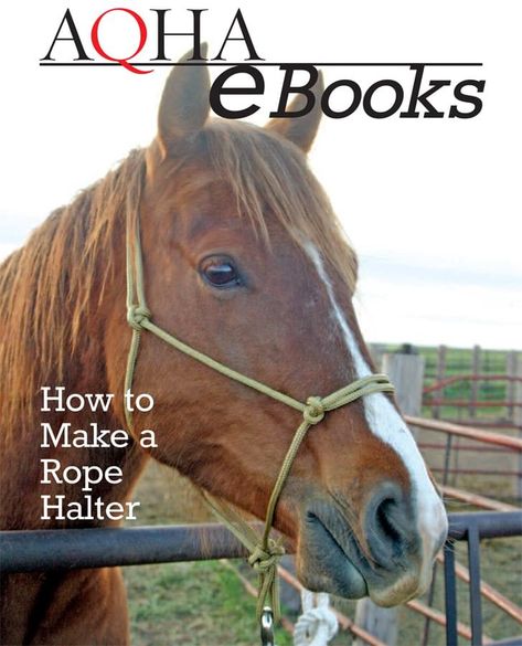 How to Make a Rope Halter - AQHA How To Tie A Rope Halter, How To Make A Rope Halter, Diy Rope Halter, Diy Horse Halter, Horse Headstalls, Horse Tack Diy, Beaded Belts, Horseshoe Crafts Projects, Ranch Riding