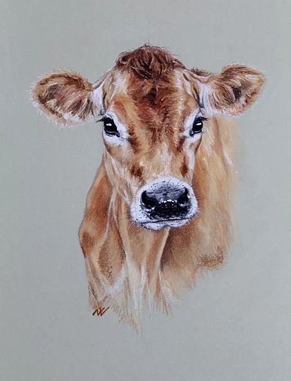 Portraits Pastel, Cow Paintings, Cow Artwork, Cow Drawing, Drawing Realistic, Jersey Cow, Pencil Portraits, Cow Face, Cow Pictures