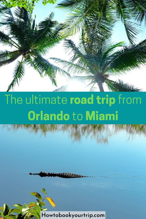 The road trip from Orlando to Miami takes you on a journey that ticks off several of the best beaches on the Gulf Coast. Find out more now! Ultimate Road Trip, Miami Orlando, Perfect Road Trip, How To Book, Best Beaches, Beach Getaways, Florida Travel, Gulf Coast, Ghost Towns