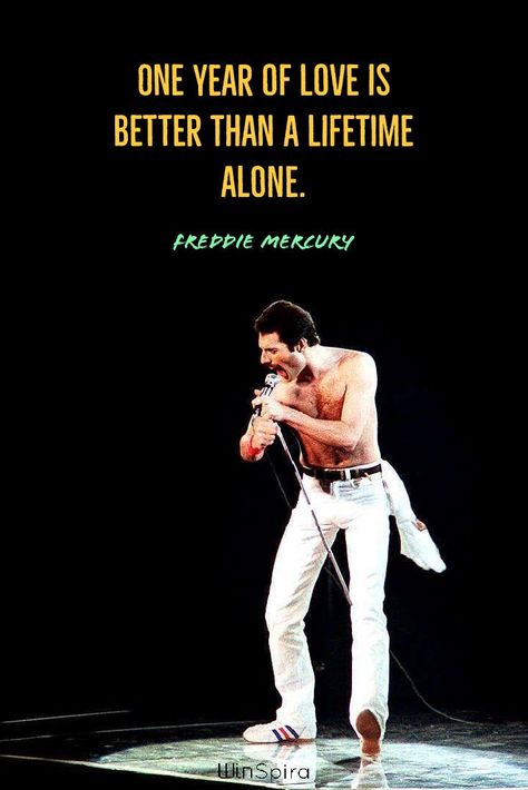 23 best Freddie Mercury Quotes - Winspira Queen Wallpapers, Freddie Mercury Quotes, Queen Bohemian Rhapsody, Queen Queen, Freddy Mercury, We Will Rock You, Queen Freddie Mercury, Queen Band, Roger Taylor