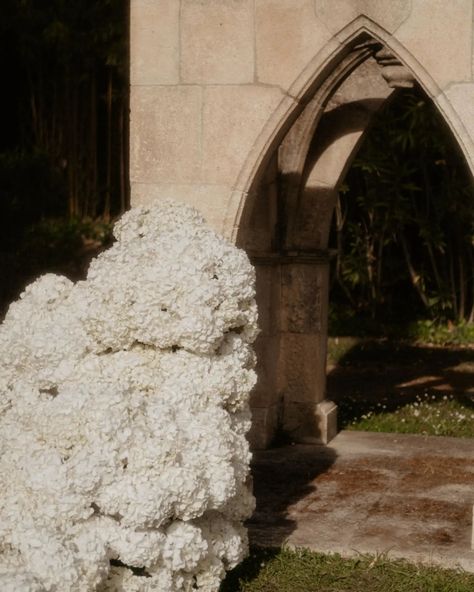 Elegant white wedding cloud floral arch Elegant White Wedding, White Cloud, Floral Arch, White Hydrangea, White Wedding, Hydrangea, Engagement Photos, Wedding Planner, Arch