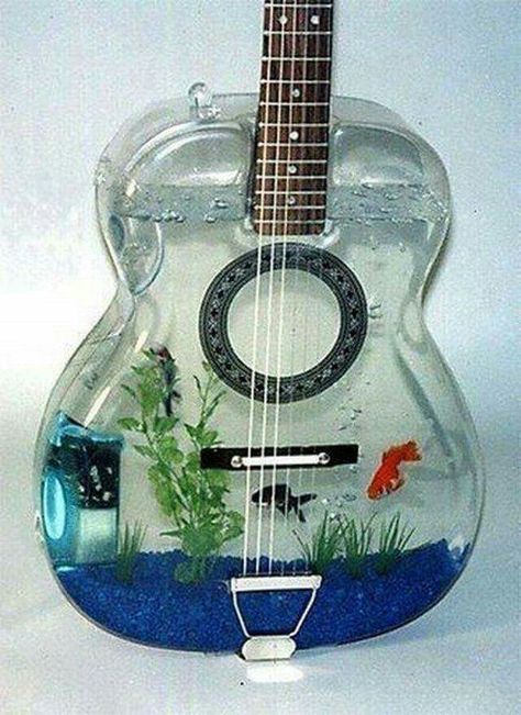 Playing with my fish to the tune of my favorite song!.  SHELBY WOULD LOVE THIS! Guitar Aesthetic, Cool Fish Tanks, Black Bass, Cool Fish, Aquarium Design, Terraria, Guitar Art, Guitar Hero, Aquarium Fish Tank