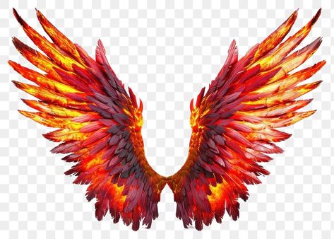 Burning Angel Wings, Angel Wings Background, Red Angel Wings, Png Angel, Fire Wings, Angel Png, Angel Wings Png, Backgrounds Red, Wings Png