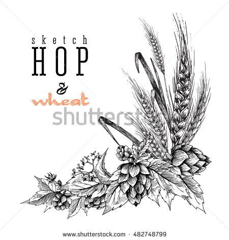 Wheat Tattoo, Hop Tattoo, Beer Tattoos, Beer Hops, Diy Outdoor Bar, Branch Vector, Wheat Design, Pub Design, Paint Bar