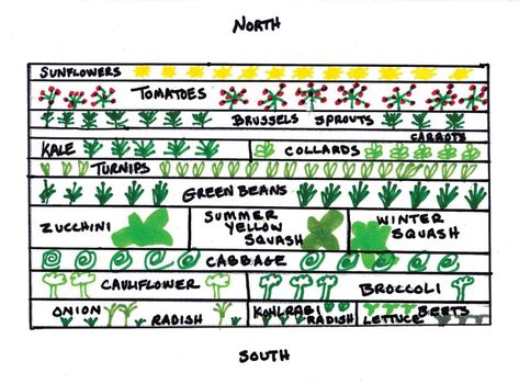 Garden Map, Planning Garden, Earth Bag Homes, Renewable Energy Systems, Succession Planting, A Frame House Plans, Crop Rotation, Water Collection, Landscape Design Plans