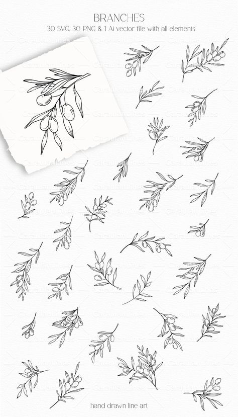 Olive Clipart, Branch Drawing, Botanical Line Art, Olive Wreath, Art Advertisement, Wreath Svg, Bullet Journal Design Ideas, Olive Leaf, Clipart Design