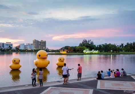 Udon Thani, Khon Kaen, Giant Inflatable, Photo Idea, The East, Tourist Attraction, Ducks, The South, Thailand