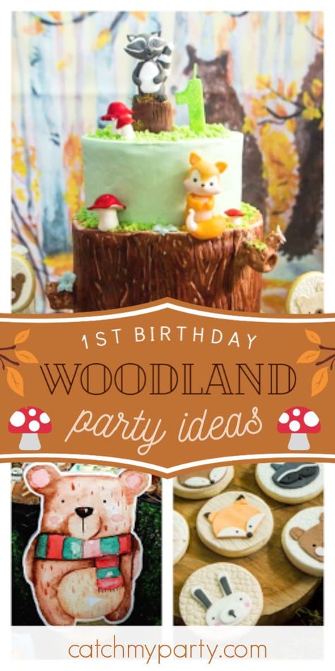 Don't miss this stunning woodland 1st birthday party! The cookies are so sweet! See more party ideas and share yours at CatchMyParty.com  #catchmyparty #partyideas #woodlandparty #woodlandanimals #boyb1stbirthdayparty 1st Birthday Party Woodland Theme, Woodland Theme First Birthday, 1st Birthday Woodland Theme, Woodland 1st Birthday Boy, Woodland First Birthday, Woodland First Birthday Cookies, One Year Old Woodland Birthday, Woodland Birthday Giveaways, First Birthday Theme Boy