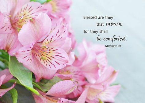 Biblical Birthday Wishes, Scripture Photography, Matthew 5 4, Condolences Quotes, Sympathy Messages, Thinking Of You Quotes, King James Bible Verses, Condolence Messages, Sacred Scripture