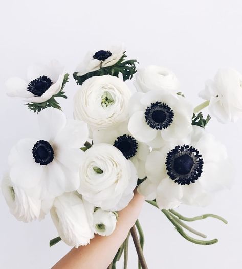 Fanny Staaf Events on Instagram: “Why get married in winter you ask? Well.... 😍⁠ .⁠ #bestflowerseason #ranunculus #anemones #weddingplanner #bröllopskoordinator…” Anemone And Ranunculus Bouquet, White Anemone Centerpiece, White Ranunculus Bouquet, Anemone Flower Bouquet, White Anemone Bouquet, Anemone Centerpiece, Anemone Wedding, Ranunculus Bouquet, Anemone Bouquet