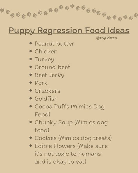 feel free to add more ideas in the comments :D - - @bby.puppi @kuddlykiddo.x @little__pup__ @eagle_element8 @_justababybunny_ @cloudydayspacis Thank you so much for giving me some of these ideas🩷 Little Spaces Ideas Activities, Wolf Regressor, Puppy Regressor, Pet Regressor, Puppy Space, Norwegian Forest Kittens, Age Reg, Pet Regression, Otter Pup