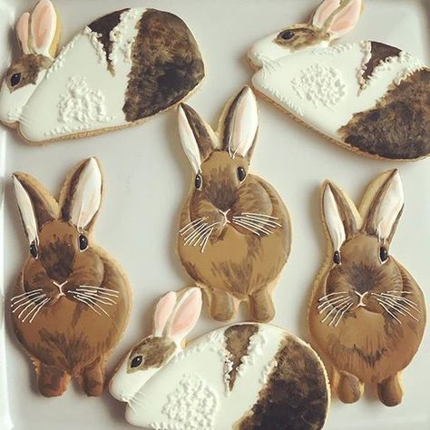 Rabbit cookies Rabbit Cookies, Paint Cookies, Spring Cookies, Bunny Cookies, Pretty Cookies, Fancy Cookies, Creative Cookies, Beautiful Cookies, Animal Cookies