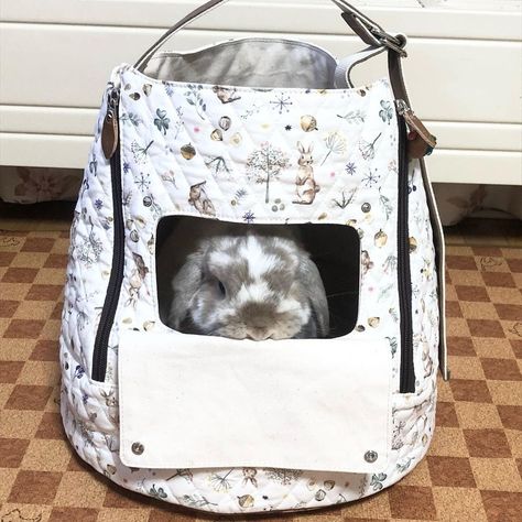 Bunny Carrier, Pet Paradise, Bun Bun, Llbean Backpack, Bunny Rabbit, Rabbits, Home Organization, Diaper Bag, Coco