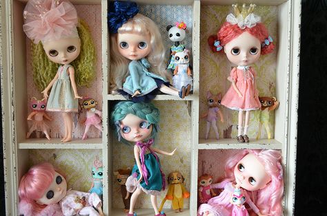 Blythe Display, Japanese Toys, Unique Toys, Blythe Doll, Bjd Dolls, Blythe Dolls, Doll Accessories, Anime Style, Have Fun