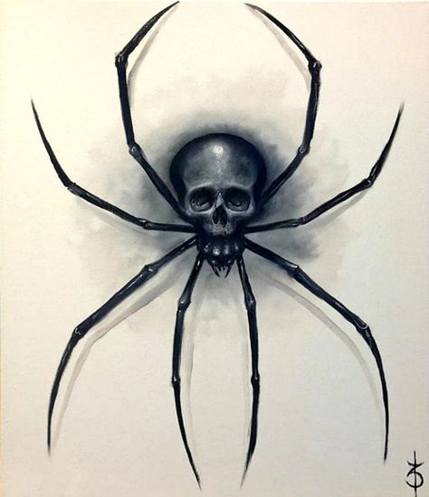 Spider Skull Spider Skull, Spider Drawing, Spider Web Tattoo, Skull Hand Tattoo, Skull Spider, Hair Stenciling, Spider Design, Web Tattoo, Spider Tattoo