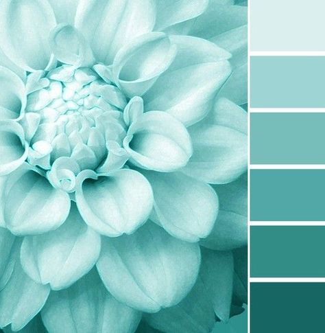 A monochromatic color scheme is just one of the many results from proper use of the color wheel. Explore this tool for color inspiration! Turquoise Color Scheme, Teal Color Palette, Color Schemes Colour Palettes, Monochromatic Color Scheme, Pastel Decor, Bleu Pastel, Color Palette Design, Color Harmony, Blue Paint