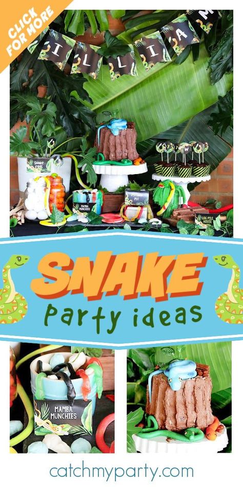 Check out this awesome snake-themed jungle party! The cake is so cool! See more party ideas and share yours at CatchMyParty.com Snake Party Food Ideas, Snake Themed Snacks, Snake Themed Food, Snake Birthday Party Food, Reptile Birthday Party Food, Snake Party Food, Snake Birthday Party Ideas, Snake Party Ideas, Reptile Birthday Party Ideas