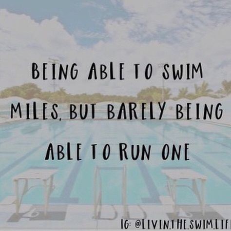 Wild Swimming Quotes, Swimmers Workout Dryland, Competitive Swimming Quotes, Swimming Quotes Funny, Swimmer Memes, Swimming Jokes, Swimming Funny, Swimming Motivation, Swimming Memes