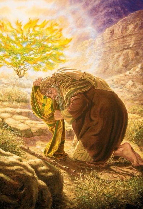 Psalm 133, Biblical Images, Biblical Artwork, Burning Bush, Bible Illustrations, Bible Images, Jesus Christ Art, Bible History, Bible Characters