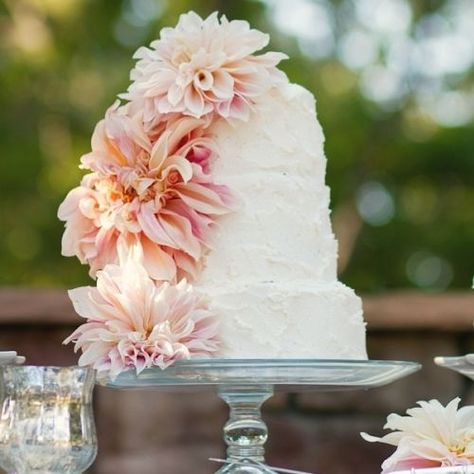 so pretty! love the texture, orange dahlias and possibly add in succulents Wedding Cake Dahlia, Dahlia Cake, Dahlia Wedding Bouquets, Dahlias Wedding, Wedding Cake Pictures, Fondant Wedding Cakes, Buttercream Wedding Cake, Mod Wedding, Wedding Cake Designs