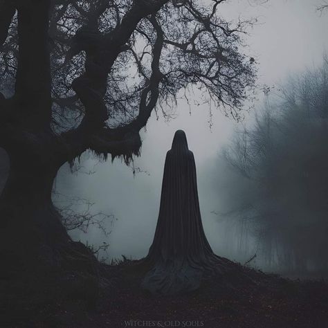 Deep Wallpaper, Don't Fear The Reaper, Haunted Forest, Halloween 3d, Dream Music, Best Friends Shoot, Figure Photography, Dark Fairy, Dragon Artwork