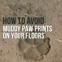 Want to put an end to those muddy paw prints on your floors? Artificial grass is the perfect one-time, long term solution! Learn more from our blog. http://www.heavenlygreens.com/blog/how-to-avoid-muddy-paw-prints-on-your-floors @heavenlygreens Muddy Dog Paw Solutions, Muddy Backyard Solution Dogs, Muddy Dog, Dog Remedies, Dog Yard, Paw Cleaner, Muddy Paws, Paw Pads, Healthy Pets