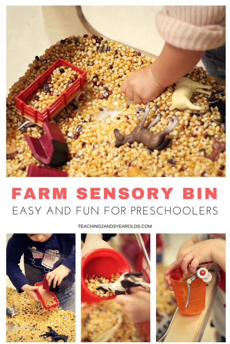 This farm sensory bin is super easy to put together, and preschoolers love it! Fine motor skills are strengthened as corn kernels are transferred. #fall #farm #sensory #toddler #preschool #finemotor Farm Sensory, Farm Sensory Bin, Farm Activities Preschool, Farm Animals Activities, Animals Preschool, Farm Theme Preschool, Farm Books, Farm Unit, Theme Preschool