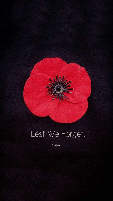 Remembrance Day Phone Wallpaper, Remembrance Day Wallpaper Iphone, Remembrance Day Screen Saver, Poppies Memorial Day, Remembrance Day Backgrounds, Less We Forget Remembrance Day, Remembrance Day Poppies, Remembrance Day Art Lest We Forget, Poppy Wallpaper Iphone