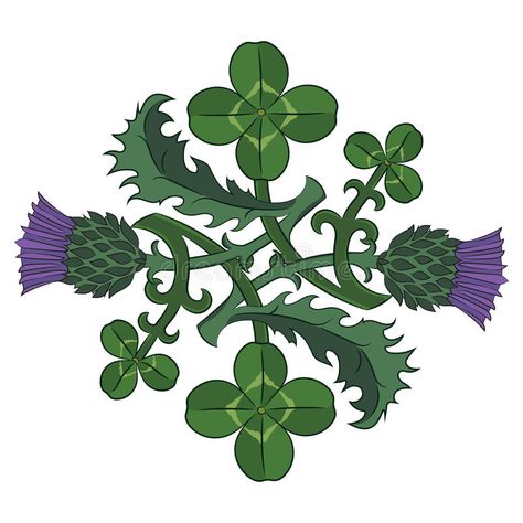 Thistle and Clover. The symbols of Ireland and Scotland. Twisted clover and Thistle. Vector illustration vector illustration Scottish Thistle Tattoo, Scottish Tattoos, Scottish Symbols, Thistle Tattoo, Ireland And Scotland, Irish Tattoos, Celtic Tattoos, Scottish Thistle, Celtic Symbols