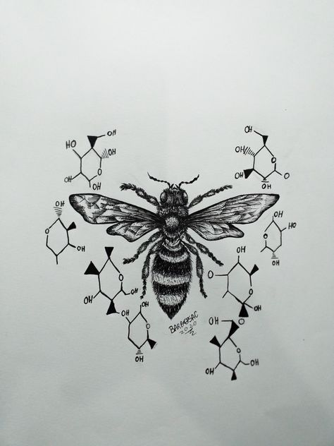 #bee #ink #chemistry #queenbee follow me on Instagram (pedro_barbosac) Chemistry Tattoo, Queen Bee Tattoo, Dyi Art, 2 Tattoo, Insect Tattoo, Design 101, Small Hand Tattoos, Bee Tattoo, Queen Bee