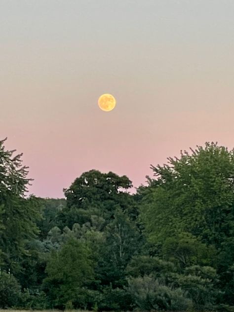 moon, sunset, full moon Tiktok Friends, Moon Sunset, Big Moon, Night Vibes, Late Summer, Sky Aesthetic, Full Moon, Vikings, Moon