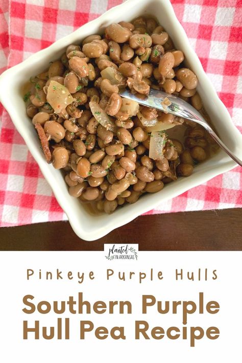 These are the best pinkeye purple hull peas! This fresh purple hull pea recipe southern style will become your new favorite. We'll show you how to cook purple hull peas on the stove top. (Affiliate links in post.) Leftover purple hull peas? We have ideas for leftover purple hull peas recipes, too! Add this recipe to your field peas recipe collection! You can also use this recipe for frozen purple hull peas by simply reducing the cook time. Purple Hill Peas Recipe, Crowder Peas Recipe, Field Peas Recipe, Southern Peas Recipe, Purple Hull Peas Recipe, Crowder Peas, Field Peas, Peas Recipes, Purple Beans