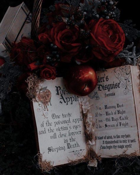 Romantic Goth Aesthetic, Evelynn League Of Legends, Victorian Vampire, Fairytale Aesthetic, Dark Fairytale, Vampire Goth, Royalty Aesthetic, Gothic Vampire, Rosé Aesthetic