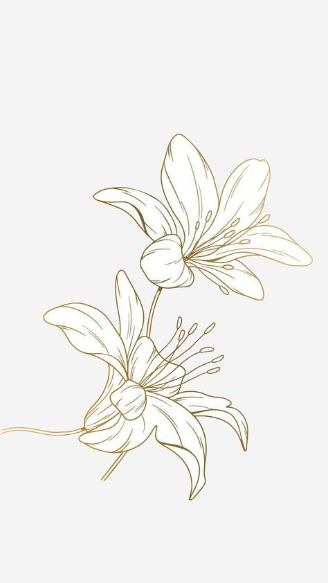 Lilly Line Tattoo, Lilly Outline Tattoo, Drawing Of Lily Flowers, Lillys Flowers Tattoo, Lily Line Tattoo, Lilly Outline, Tiger Lilly Drawing, Lillies Drawings, Lily Drawing Simple