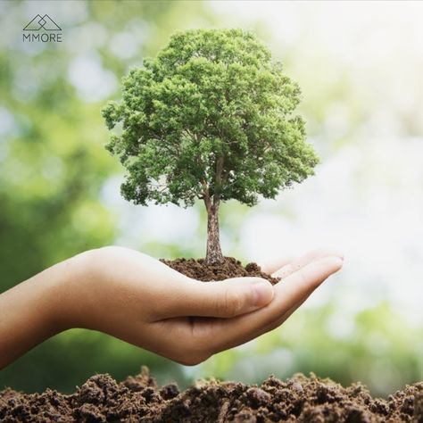 Did you know planting a tree is one of the easiest and most powerful things you can do to have a positive impact on the environment? It’s true. 🌳 Trees clean the air, prevent rainwater runoff, help you save energy, combat global warming and much more. Check the blog and learn TOP 9 REASONS to Plant a Tree🌱 Topic related to plant a tree, plant trees save the earth, save planet earth, tree learning, tree planting, plant tree photography, planting ideas, planting facts, tree leaves, tree roots 🌲 Pet Rodents, Hay Racks, Save Trees, Plant A Tree, Pet Rabbit, Save Earth, Back To Nature, One Tree, Save The Planet