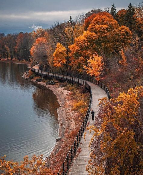 Ottawa Tourism on Instagram: “Late fall stroll along the Voyageur Pathway 🍂 . 📷 @marcgravel.photography #MyOttawa #Ottawa #Outaouaisfun #ExploreCanada #fall” Ottawa Aesthetic, Fall In Canada, Ottawa Travel, Canada Life, Canada Ottawa, Backpacking Canada, University Of Ottawa, Canada Holiday, Toronto City