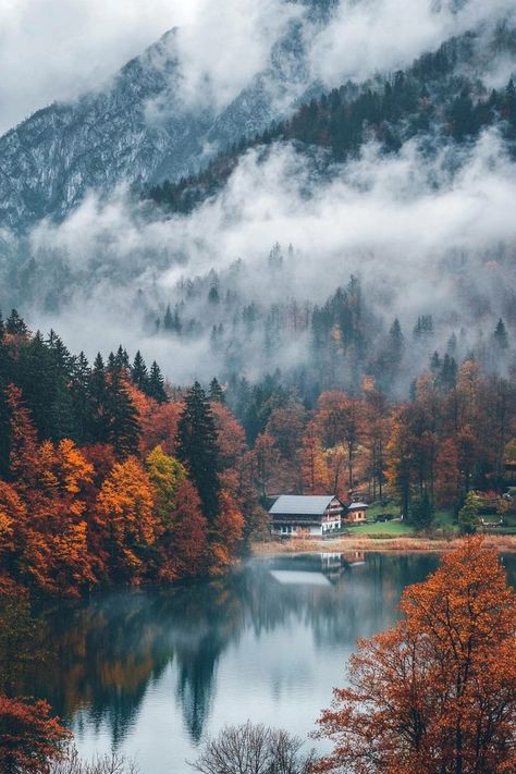 "Discover the enchanting autumn beauty of Bavaria! 🍂🏰 From colorful forests to picturesque villages, immerse yourself in the season’s charm in this German gem. 🍁🍺 #BavariaAutumn #FallInGermany #TravelBavaria" Autumn Poetry, Breathtaking Places, Amazing Nature Photos, Dream Travel Destinations, Bavaria Germany, Autumn Beauty, Autumn Cozy, Autumn Aesthetic, Autumn Photography