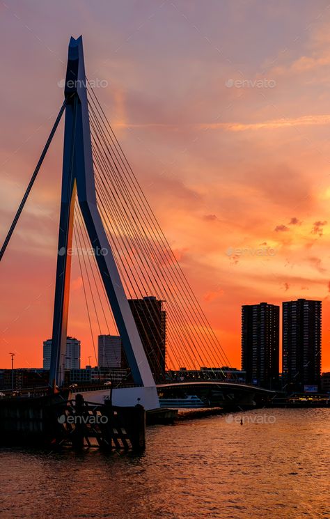 Erasmus Bridge, Rotterdam City, Graphic Design Portfolio Inspiration, South Holland, Holland Netherlands, Websites Design, Beauty Websites, Inspirational Artwork, Metal Texture