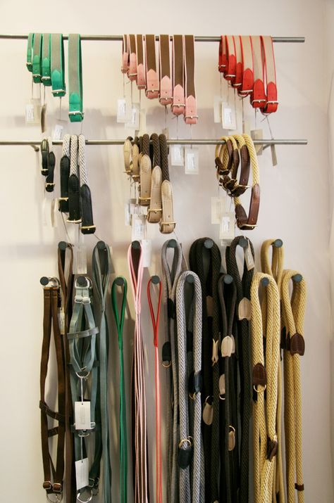 Mungo & Maud Luxury Dog Collars and Leads Dog Collar Display, Collar Display, Pet Store Design, Pet Store Ideas, Dog Grooming Salons, Luxury Dog Collars, Pet Hotel, House Training Dogs, Dog Training Videos