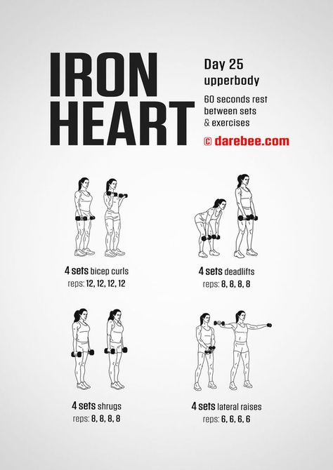 Darbee Workout, Mini Workouts, Daily Workouts, Kickboxing Workout, Printable Workouts, Iron Heart, Abs Workout Routines, Body Workout Plan, Biceps Workout